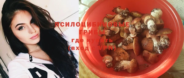 эйфоретик Белая Холуница