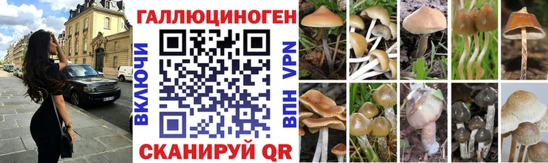 Галлюциногенные грибы GOLDEN TEACHER Высоковск